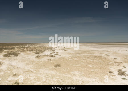 Folgen der Aralsee Katastrophe. Sandy Salzwüste auf dem Gelände der ehemaligen unteren des Aralsees. Kasachstan Stockfoto