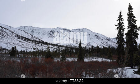 Tombstone Territorial finden Ende März, Yukon, Kanada Stockfoto