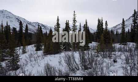 Tombstone Territorial finden Ende März, Yukon, Kanada Stockfoto