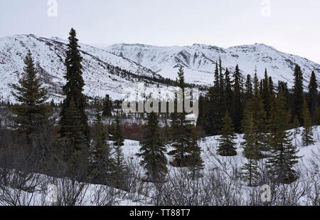 Tombstone Territorial finden Ende März, Yukon, Kanada Stockfoto