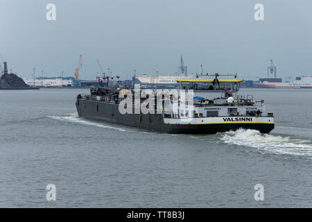 Kieldrecht, Belgien, 10. Juni 2019, das Landesinnere, Motor Tanker, flüssige Ladung, Typ C, Valsinni, segelt unter der niederländischen Flagge in den Hafen von Antwerpen Stockfoto