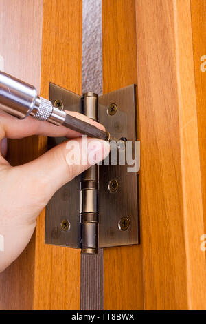 Männliche Finger mit Schraubendreher Anschrauben eines Türscharnier, Nahaufnahme Stockfoto