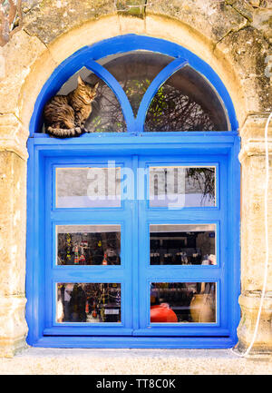 Katze sitzt vor einem bunten Fassade eines Fensters Stockfoto