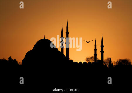 Süleymaniye-moschee Stockfoto