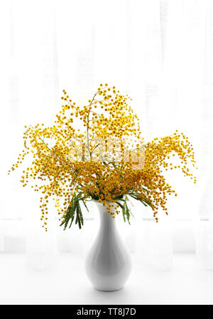 Schöne Zweige von Mimosa in Vase auf Fensterbank Stockfoto