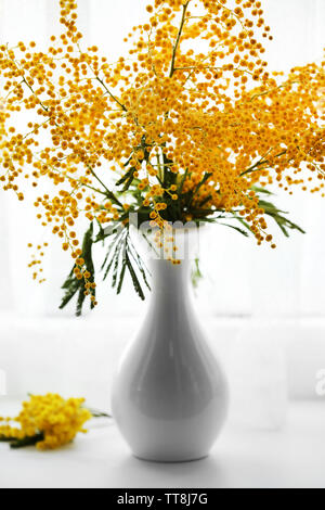 Schöne Zweige von Mimosa in Vase auf Fensterbank Stockfoto