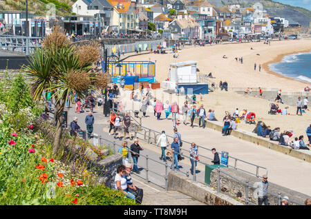 Lyme Regis, Dorset, Großbritannien. 15 Juni, 2019. UK Wetter: Massen von Musiker und Besucher strömen zum Strand genießen Sie einen Nachmittag mit Musik als die jährliche Gitarren am Strand Veranstaltung erhält unterwegs am Strand in Lyme Regis an einem herrlichen Nachmittag im warmen Sonnenschein und strahlend blauen Himmel. Die Masse ist der Star der Show als Gitarristen aller Altersgruppen und Fähigkeiten zusammen am Strand versammeln sich als "größten der britischen Band' durchführen. Die Menschen genießen die entspannte Atmosphäre des Festivals, bevor Sie in diesem Jahr gewählten Song "am Strand" durchführen. Credit: Celia McMahon/Alamy leben Nachrichten Stockfoto