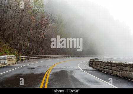 Horizontale Schuß eines Smoky Mountain Road, verschwindet in Nebel mit kopieren. Stockfoto