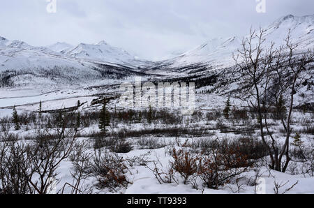 Tombstone Territorial finden Ende März, Yukon, Kanada Stockfoto