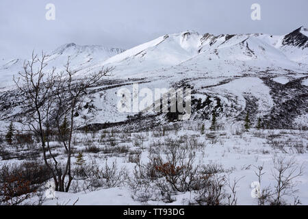 Tombstone Territorial finden Ende März, Yukon, Kanada Stockfoto