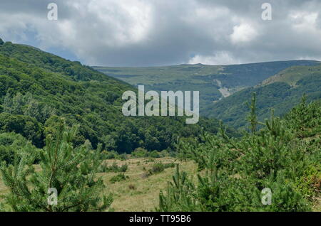 Panorama von Glade und grüne Wälder vor der schwarzen Spitze, Berg Vitosha, Bulgariens Stockfoto