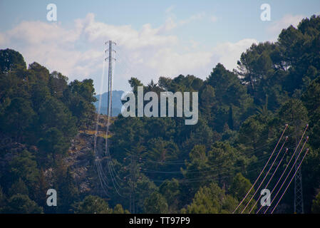 Die Linien schneiden durch Wald in Grazalema, Andalusien, Spanien Stockfoto