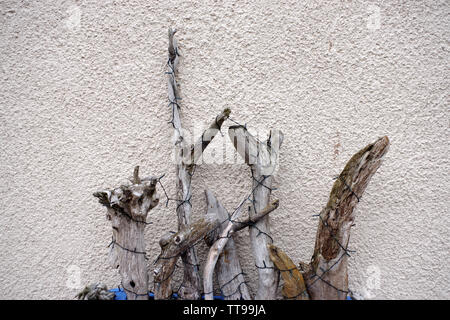 Driftwood Skulptur außerhalb eines Hauses in Dunbar, einer Stadt an der Nordseeküste in East Lothian in der süd-östlich von Schottland Stockfoto