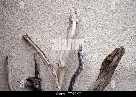 Driftwood Skulptur außerhalb eines Hauses in Dunbar, einer Stadt an der Nordseeküste in East Lothian in der süd-östlich von Schottland Stockfoto