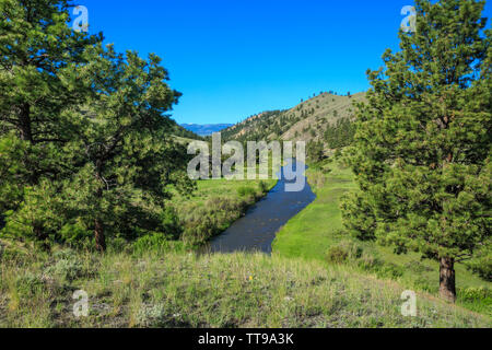 Obere Smith River am Fort Logan Fischerei der Zugang in der Nähe von White Sulphur Springs, Montana Stockfoto