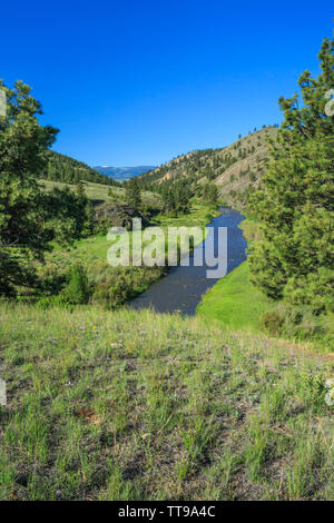 Obere Smith River am Fort Logan Fischerei der Zugang in der Nähe von White Sulphur Springs, Montana Stockfoto