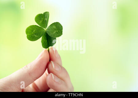Weibliche Hand, die grünen Kleeblatt auf Natur Hintergrund Stockfoto