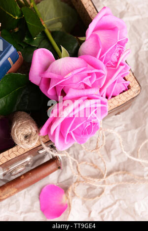 Schöne rosa Rosen auf Pergament Hintergrund Stockfoto