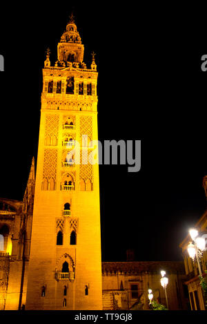 Nacht Blick auf die Giralda Glockenturm und das ehemalige Minarett, die Kathedrale von Sevilla, Sevilla, Andalusien, Spanien Stockfoto