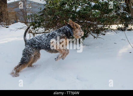 Usa: 022215: eine verschneite Dorf Pine Grove in Clarke County Virginia, die Aktien der gleichen Plz und Adresse in der Nähe von Blue Stockfoto