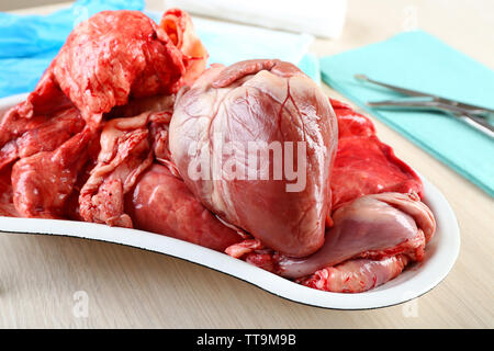 Herz Organ in der Medizinischen Fach aus Metall mit Tools für Tisch, Nahaufnahme Stockfoto