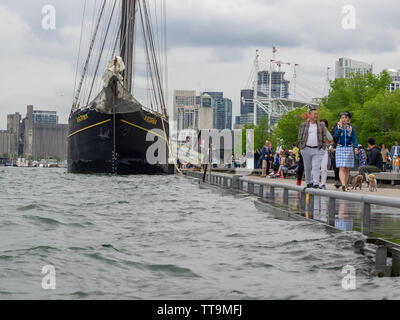 Toronto, Kanada. 15 Juni, 2019. Toronto Tall Ship Kajama im Quay angedockt ist nach starken Regenfällen im Jahr 2019 Wasserstand in der Nähe von Boden angehoben. Stockfoto