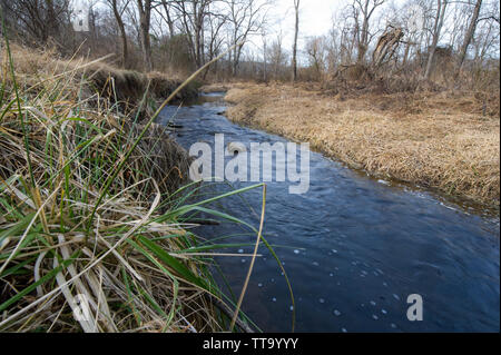 United States; Jan. 2, 2015: Der shearman Mill Trail ist ein 1,0 Meile, easy Loop Trail, der in der Nähe der Scheune auf die Parklandschaft östlich von Rt beginnt. 17. Diese Stockfoto