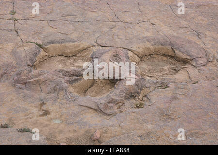 Dinosaur Footprint in Torotoro Nationalpark, Torotoro, Bolivien Stockfoto