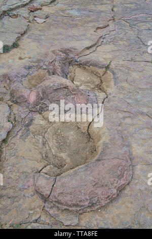 Dinosaur Footprint in Torotoro Nationalpark, Torotoro, Bolivien Stockfoto