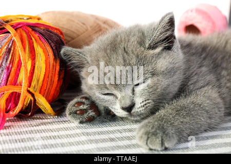 Graue Kätzchen mit bunten Kugeln der Thread auf gestreiften Teppich niedlich, Nahaufnahme Stockfoto