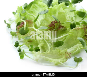 Frischer gemischter grüner Salat isoliert auf weißem Stockfoto