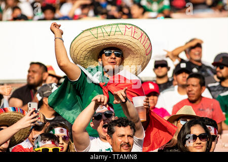 Pasadena, USA. 15 Juni, 2019. Mexiko Fans kamen heraus Kraft zu sehen, Ihre team Kuba in Ihrem Auftaktspiel des Gold Cup dominieren. Credit: Ben Nichols/Alamy leben Nachrichten Stockfoto