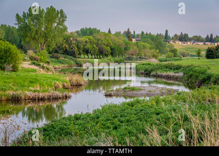 Brücke über Swift Current Creek auf einem Golfplatz Stockfoto