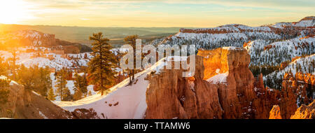 Bryce Canyon National Park in Utah Stockfoto