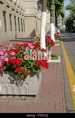 Stadt Straße mit Blumenbeeten Stockfoto