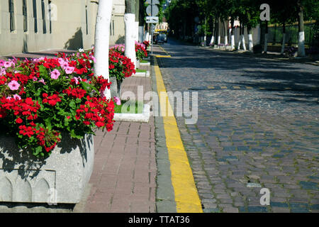 Stadt Straße mit Blumenbeeten Stockfoto