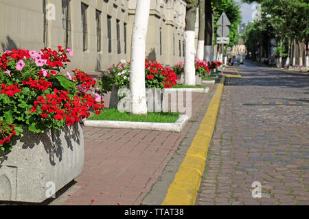 Stadt Straße mit Blumenbeeten Stockfoto