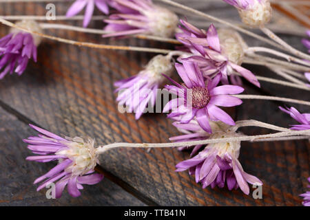 Schönen wilden Blumen auf holztisch Nahaufnahme Stockfoto