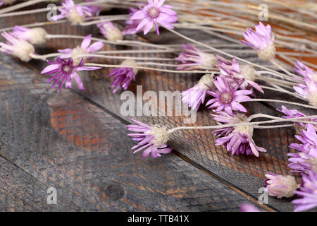 Schönen wilden Blumen auf holztisch Nahaufnahme Stockfoto