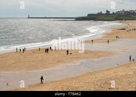 Blick nach Süden entlang Longsands Strand in Tynemouth, North East England, Großbritannien Stockfoto