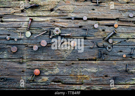 Nahaufnahme eines horizontalen hölzernen Telefonmastes mit rostigen Nägeln, Schrauben und Klammern, die an zufälliger Stelle befestigt sind. Stockfoto