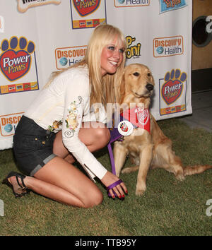 New York, USA. 15. Juli 2008. CariDee Englisch auf die Macht der Pfoten Launch Party am Helen Mühlen Galerie. Quelle: Steve Mack/Alamy Stockfoto