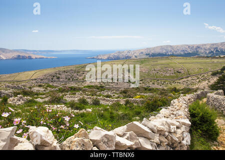 Trockenmauern, Hügel, die Bucht von Baska. Insel Krk. Kroatien. Stockfoto