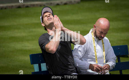London, Großbritannien. 16 Juni, 2019. ANDY MURRAY der GBR während der Praxis & Qualifying Tennis auf dem Fever-Tree Meisterschaften im Queen's Club, London, England am 16. Juni 2019. Foto von Andy Rowland. Credit: PRiME Media Images/Alamy leben Nachrichten Stockfoto