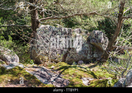 Ozarks Region, National Scenic Riverways, Missouri Stockfoto