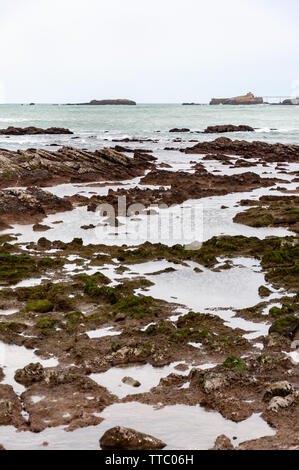 Strand von Biarritz, Frankreich: Malerische Stadt am Atlantik, in der Bucht von Biskaya. Aquitaine tourist resort für seine balsamische Luft bekannt. Stockfoto