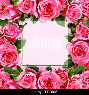 Rosa Blüten Rahmen auf rosa Hintergrund Stockfoto