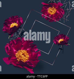 Trendy Rose Gold Rahmen mit Pfingstrosen auf dunkelblauem Hintergrund mit Platz für Text eingerichtet Stockfoto