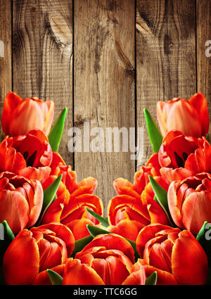 Rote Tulpe Blumen auf Holz- Hintergrund Stockfoto