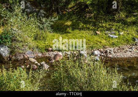 Azat, flach von der Hitze des Sommers, mit Steinen von Wasser aus den Bergen geholt, unter den Bäumen fließt durch die Schlucht Garni in Armenien Stockfoto